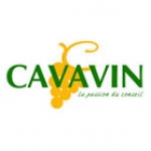 Cavavin Quimper